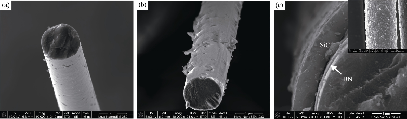 SiC-Composite-Coatings